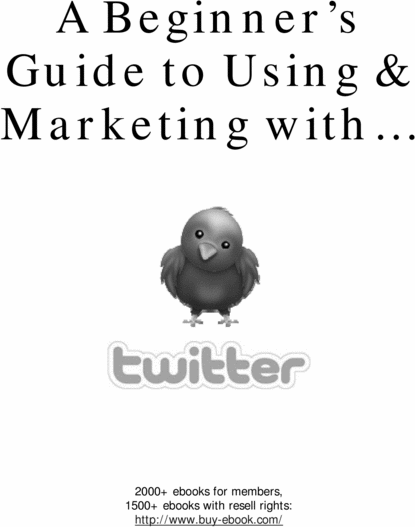 Product picture The Beginners Guide to Twitter